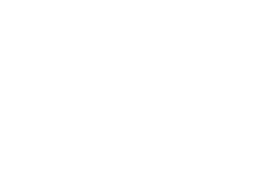 Million Team